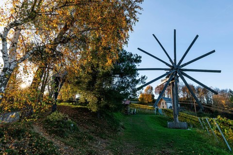 Autumn atmosphere, sunlight breaking through the vineyard, largest klapotetz in the world,