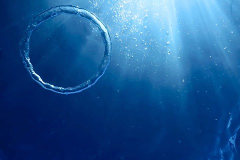 Underwater Bubble Ring Ascends towards the Sun