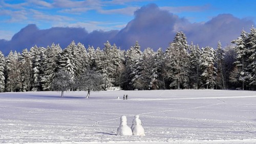 Two cross-country skiers on tour in a snow-covered landscape