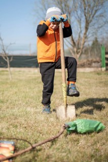 Six-year-old boy in the garden plants tree during sunny spring day.