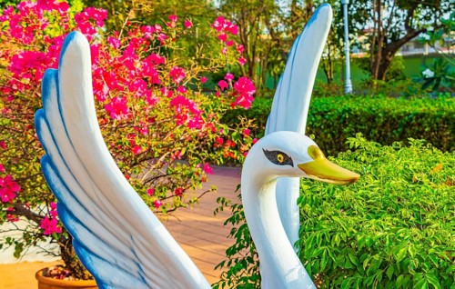 Beautiful swan figure in a park between green nature in Bangkok Thailand