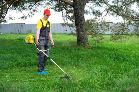 A male gardener mows the green grass of the lawn in the backyard with a gasoline mower. Trimmer for