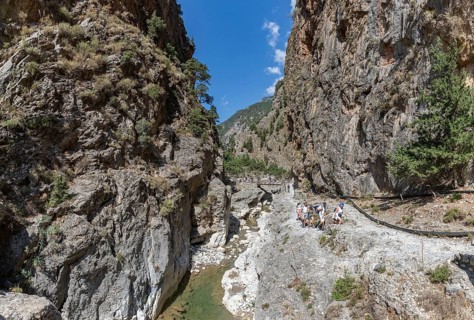 A picture of the classic Samaria Gorge landscape, with rocks on the ground and surrounding trees