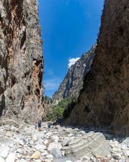 A picture of the classic Samaria Gorge landscape, with rocks on the ground and surrounding trees