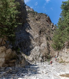 A picture of the classic Samaria Gorge landscape, with rocks on the ground and surrounding trees