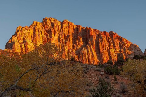 Glowing Rockface at Sunset in Zion National Park