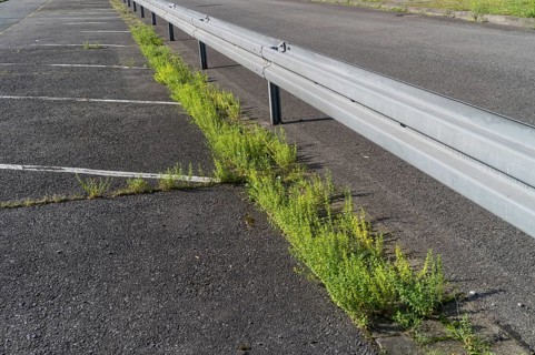 Guard rails on the road in the sun