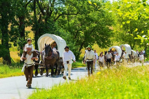 Settlers' train in Central Saxony