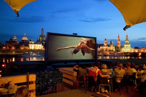 Film Nights on the banks of the Elbe