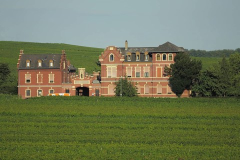 Former champagne cellar in the vines, villa, wine-growing area, vineyards, Hochheim am Main,