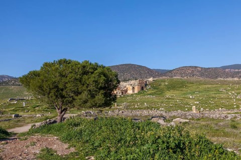 Remains, ruins at Hierapolis, Hieropolis, near Pamukkale, Denizli, Western Turkey, Turkey, Asia
