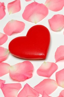 Rose petals and heart, rose petals