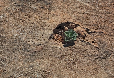 Landscape of the Southern Dhofar, Jabal al-Qamar, Oman, Asia