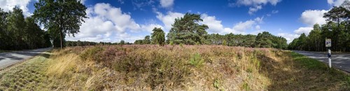 270 degree panorama of a heath landscape with federal road near Schneverdingen, Heidekreis, Lower