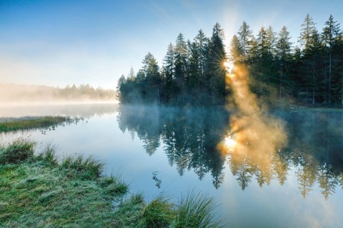 Rays of sunshine make their way through forest and fog at the mirror-smooth moorland lake Étang de