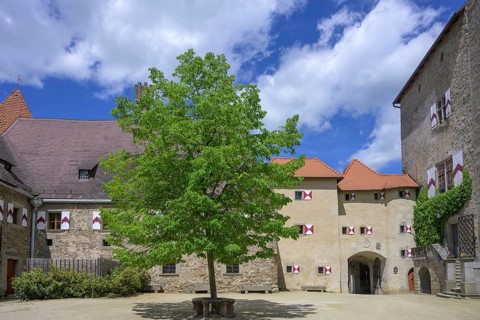 Inner courtyard castle, Heidenreichstein, Lower Austria, Austria, Europe