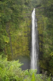 Akaka Falls, Akaka Falls State Park, Hilo, Big Island, Hawaii, USA, North America