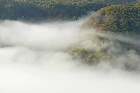 View over the Moselle valley, autumnal forest with dense fog, Moselle, Rhineland-Palatinate,