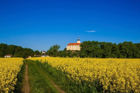 Hirschstein Castle, also known as Neuhirschstein, is a castle in the municipality of Hirschstein in