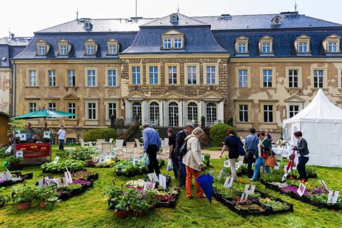 Gaussig Castle Park, LANDPARTY