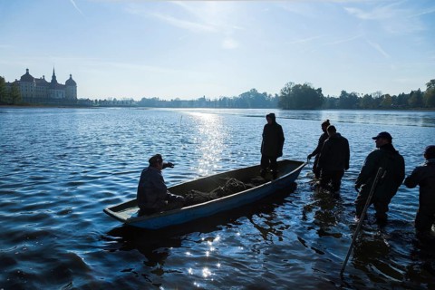 Fishing of the castle pond in Moritzburg