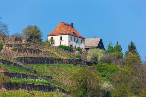 Elbe at the Boselspitze