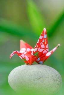 Origami crane, Origami, Japanese paper folding art, paper art