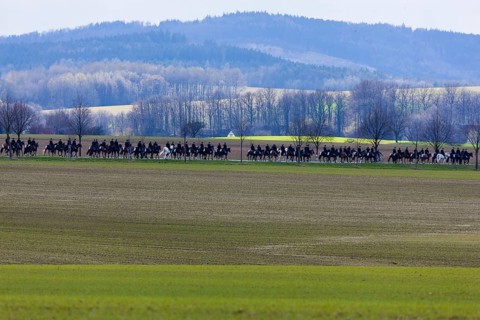 Every year at Easter there are about 5 processions in Lusatia, each with about 200 riders. The
