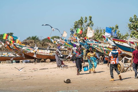 Fishermen's wives with fishing boats on the beach of Sanyang, Gambia, West Africa, Africa