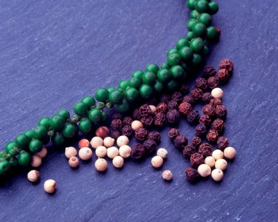 Black pepper (Piper nigrum) and white pepper