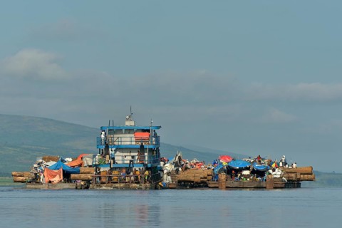 Freighter transporting logs of tropical timber on the Congo River, near Kinshasa, Kinshasa