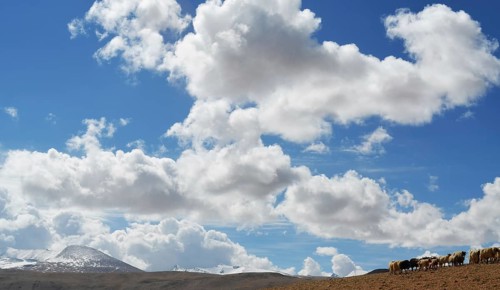 Tso Moriri