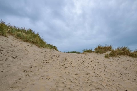 Sand dune, Sea, Marram Grass, Clouds, Zandvoort, North Sea, North Holland, Netherlands