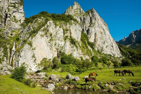 Mountain landscape and semi-wild horses, Lescun, Département Pyrénées-Atlantiques, Region