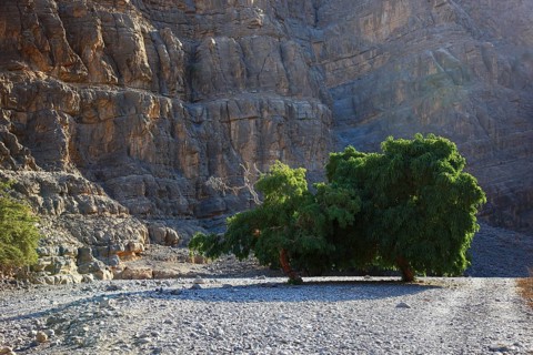 Landscape in the Jebel Harim area, in the Omani enclave of Musandam, Oman, Asia