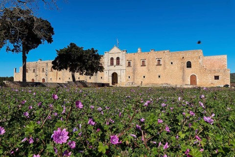 Wide angle, main side, gate entrance, trees, spring meadow, purple flowers, fortress-like walls,