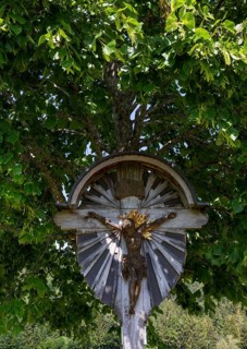 Linden tree with wayside cross, Osterhorn group, Koppl, Flachgau, Land Salzburg, Austria, Europe