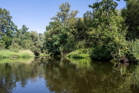 River landscape of the Thaya in late summer, Czech Republic, Europe