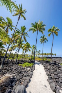 Pu'uhonua O Honaunau National Historical Park, Big Island, Hawaii, USA, North America
