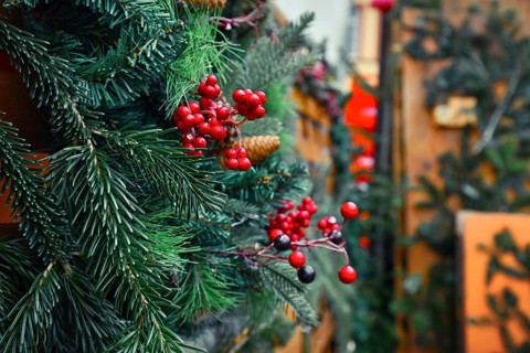 Close up of seasonal winter decoration of artificial red berries and pine branches at traditional
