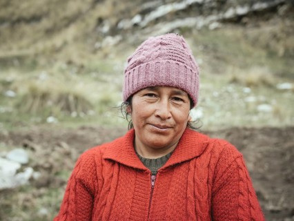 Peasant woman in a field, Andean highlands, La Oroya, Peru, South America