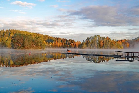 Fog drifts over a calm lake, foliage colouring, October, Bullaren, Västrä Götland, Sweden, Europe
