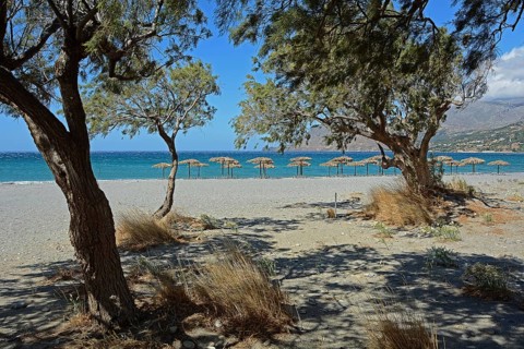 Tamarisk trees and parasols on the beach, Plakias, Crete, Greece, Europe