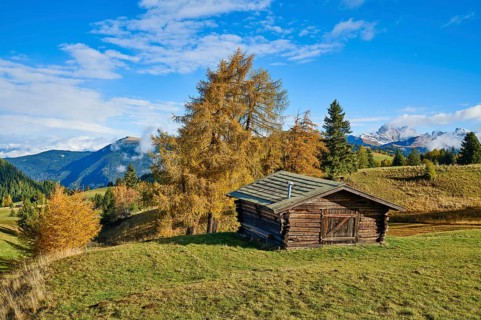 Alpine hut on the Alpe di Siusi, autumnal larches, Seceda, Dolomites, blue sky, Castelrotto, South