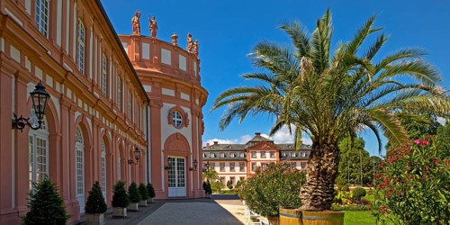 Biebrich Palace with palm trees and the rotunda from the palace park side, Wiesbaden, Hesse,