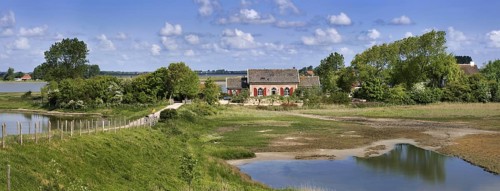 Farmhouse at inlaag, insert wetland in Schouwen-Duiveland, Zeeland, the Netherlands