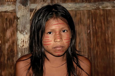 Portrait of an Indian girl from the Dessanos tribe, Rio Taruma, Manaus, Amazon state, Brazil, South