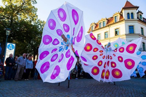 Autumn and wine festival in Altkötzschenbroda