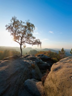View from the Carola rock into the Schrammstein area in the back of Saxon Switzerland