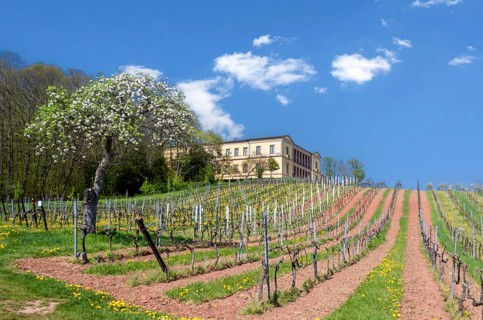 Villa Ludwigshöhe Castle, the former summer residence of the Bavarian King Ludwig I, Edenkoben,